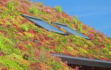 Mickletown living roof systems