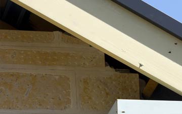 soffit repair Mickletown
